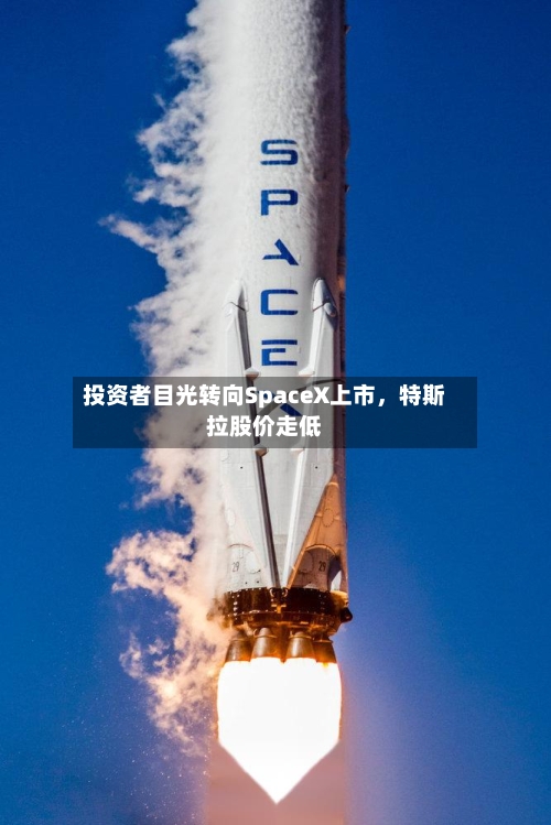 投资者目光转向SpaceX上市，特斯拉股价走低