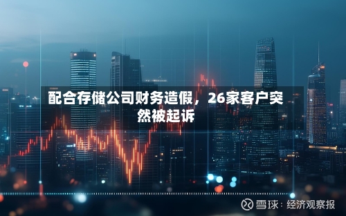 配合存储公司财务造假，26家客户突然被起诉-第2张图片
