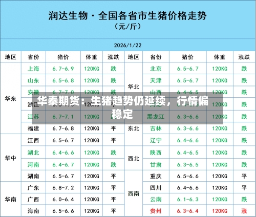 华泰期货：生猪趋势仍延续，行情偏稳定-第3张图片