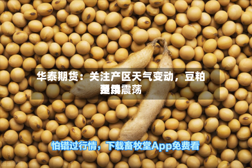 华泰期货：关注产区天气变动，豆粕费用延续震荡-第2张图片