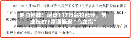 明日停牌！尾盘117万急拉涨停	，创业板ETF富国疑现“乌龙指	”-第2张图片
