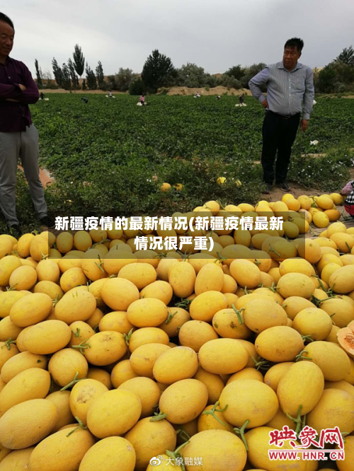 新疆疫情的最新情况(新疆疫情最新情况很严重)-第1张图片