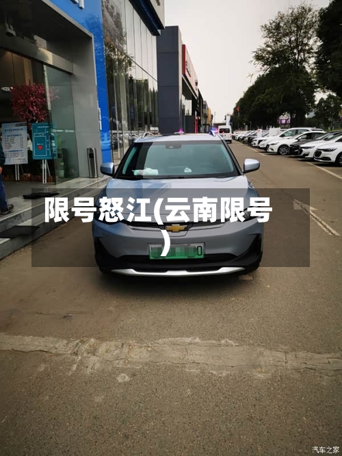 限号怒江(云南限号)-第2张图片