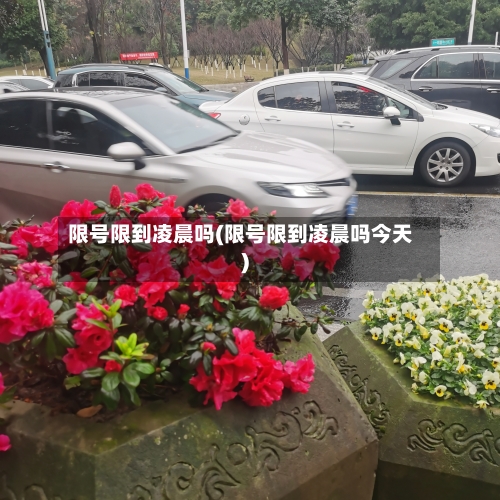 限号限到凌晨吗(限号限到凌晨吗今天)-第2张图片